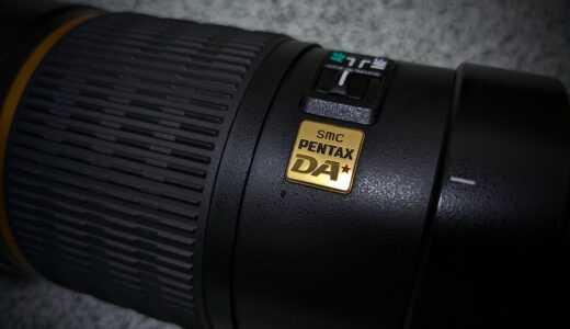 最近のバードウォッチング PENTAX-DA★300mm F4 ED[IF] SDM