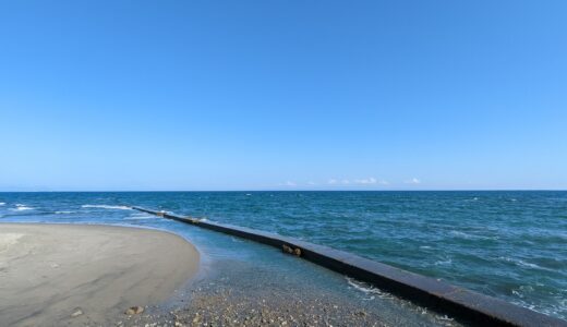 海の黒いやつ